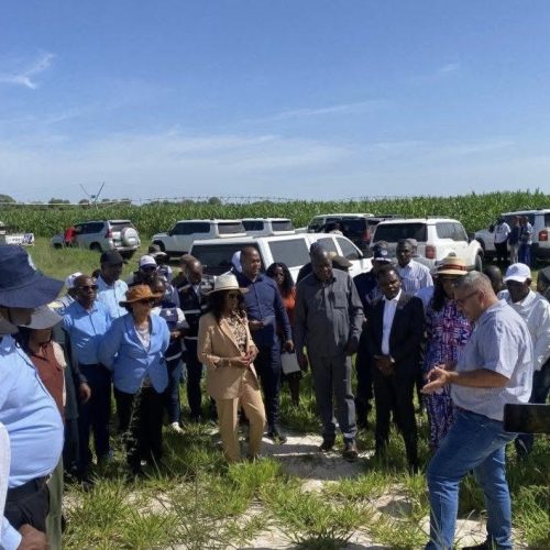 Angola planta conhecimento e a Namíbia vem colher experiência