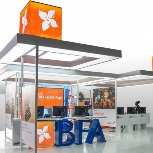 Grupo Carrinho entra no BFA com 7,61% e passa a influenciar decisões